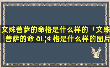 文殊菩萨的命格是什么样的「文殊菩萨的命 🦢 格是什么样的图片」